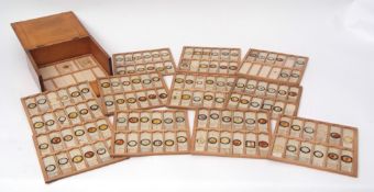 Early 20th century pine microscope slide case fitted with twelve slide out trays and fitted with 150