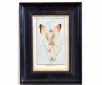 J P, monogrammed and dated 03, watercolour, "Buff Kip Butterfly", 20 x 12cms