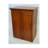 19th century mahogany two-panelled door cabinet with adjustable pine shelves, 80cms wide x 48cms