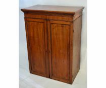 19th century mahogany two-panelled door cabinet with adjustable pine shelves, 80cms wide x 48cms