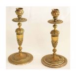 Good quality pair of cast brass candlesticks with knopped column with cast fleur de lys decoration