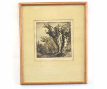 Frank Brangwyn, signed in pencil to margin, black and white etching, Tree study, 18 x 18cms