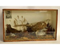 Cased taxidermy hen pheasant among foliage by T Knight of Norwich, 69cms wide x 22cms deep x 41cms