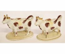 Pair of Staffordshire cow creamers with a sponged brown design