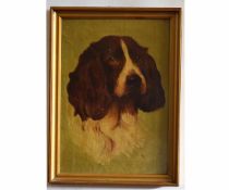 A K, initialled oil on canvas laid to board, Dogs head (spaniel), 34 x 24cms