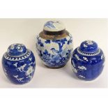 Pair of 20th century Chinese blue and white ginger jars and lids decorated with prunus blossom,