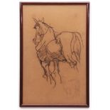 Attributed to George Thomas Rope, Horse study, charcoal drawing, 42 x 27cms