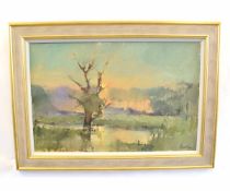 Brian Ryder, signed oil on canvas, Sunset Landscape, 50 x 75cms