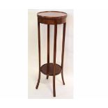 Edwardian mahogany and satinwood inlaid circular two-tier plant stand supported on four square legs,