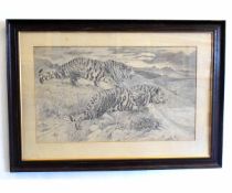 After Herbert Dicksee, pencil drawing, Two tigers, 40 x 67cms