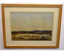 Hamilton Cotman, signed and dated 1895, watercolour, Grazing sheep, 23 x 33cms