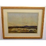 Hamilton Cotman, signed and dated 1895, watercolour, Grazing sheep, 23 x 33cms