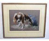 Juliet Kearns, signed pastel, Cavalier King Charles, 32 x 45cms (glass cracked)