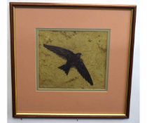 N Philo, signed and dated 1989, watercolour, Bird of Prey in flight, 17 x 18cms together with a