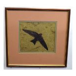 N Philo, signed and dated 1989, watercolour, Bird of Prey in flight, 17 x 18cms together with a