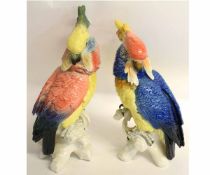 Two large Continental models of parrots on branches, 38cms high