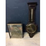 Edwardian oak barometer & Edwardian taxidermy Woodpecker, perched on a wooden stump in a glass