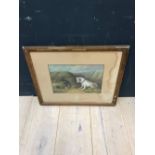 A gilt framed oil painting study of 2 terriers hunting at a burrow, 25x37cm