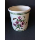 Large Portmeirion pot