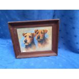 Oil painting head study of two Irish Terriers in oak frame, 30x39cm