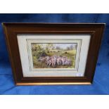 Gilt framed watercolour study of sow and suckling piglets in a rolling landscape, 14.5x22.5cm