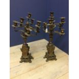 Pair of C19th ormolu Rococo style 8 branch candelabra on 'C' scroll bases