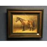 Oil painting equine study of a Bay horse in a stable, in a gilt & ebonised frame, 29x40cm