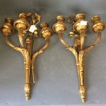 Pair of neoclassical style ormolu three branch wall lights, 56cmL