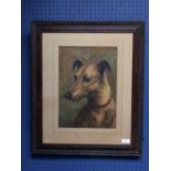 Oil painting head study of a Lurcher in decorative oak frame, 35.5x25cm