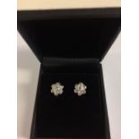 Pair of 18 carat white gold and diamond, daisy style, stud earrings