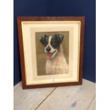 Oil painting study of Jack Russell terriers, in an oak frame, 29x21.5cm