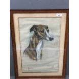 Pastel greyhound 'Toffee' by Marjorie Cox signed 1976