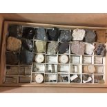 Private cased collection of archeologically specimens and fossils all labelled in fitted case with 3