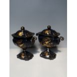 Pair of Regency Japanned toleware tea urns of classical form, highlighted in gilt, 26cmH