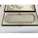 Good graduated row of large pearls with 9 ct yellow gold ball clasp