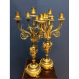 Pair of ormolu & brass Neo classical style 5 branch candelabras with ram's head & laurel decoration,