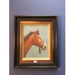 Ebonised framed Equestrian oil painting study of a Chestnut Horse, 38x29cm