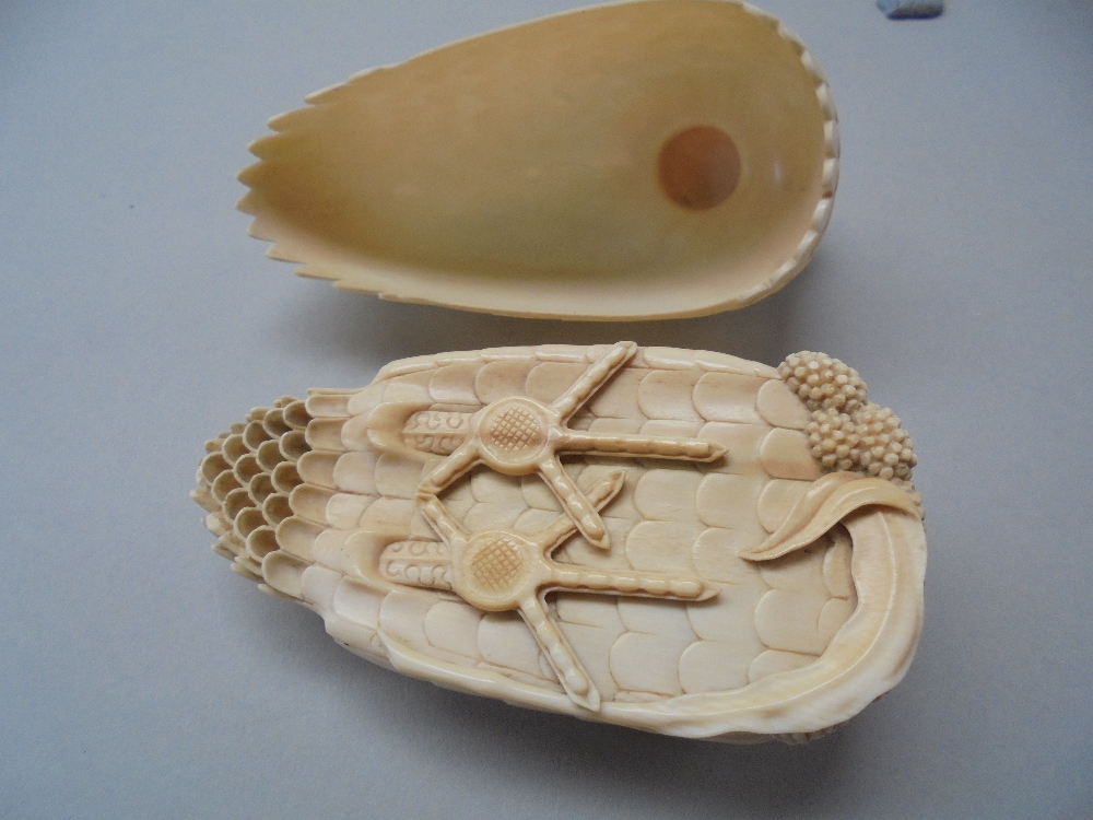 C18th Chinese finely carved ivory quail-form box and cover, 9.6cm long. - Image 7 of 7