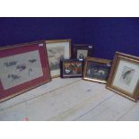 After Dodd "Hawking" black & white engraving by Prattent, 2 Peregrines engravings & 3 further animal