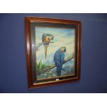 Ornithological interest a Darkwood framed oil painting study of 2 Macaws perched on tree boughs 58.