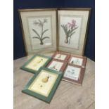 Pair decorative prints of tulips, framed & glazed and other pictures