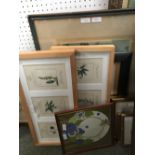 Selection of prints