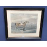 After J F Herring, framed early C19th hand coloured aquatint of the racehorse Memnon winner of the