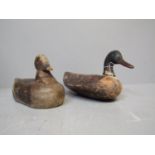 2 Early decoy ducks