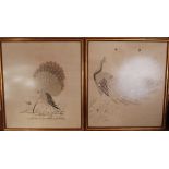Two C19th Chinese silk embroidered panels, each woven with peacock and framed, 67 x 76cm. (2)