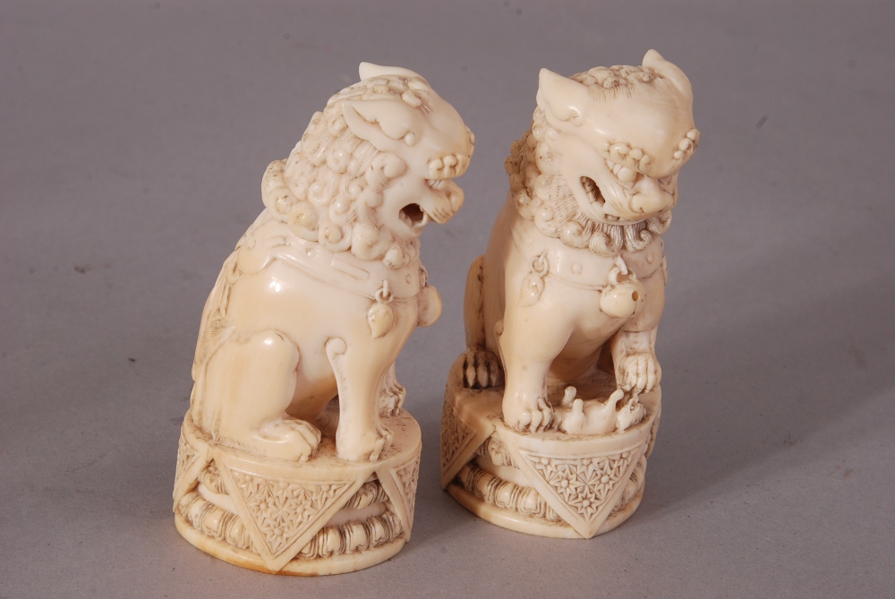 Pair of C18th/19th Chinese ivory Buddhist lions, modelled seated on its haunches and wearing a - Image 3 of 3
