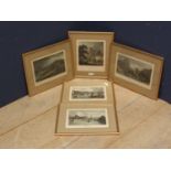 6 C19th colour prints in gilt frames