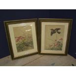 Pair of F&G Japanese woodcuts studies of birds in flowering foliage both approx 30x22cm