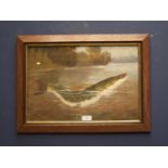 Oak framed oil painting study of a Pike fish rising from waters 27.5x40cm