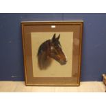 Mary Browning C20th pastels, bay horses head "Softie" sll dated 82 48x41 f&g